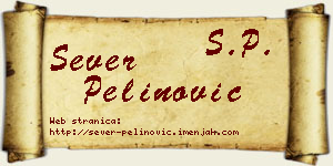 Sever Pelinović vizit kartica